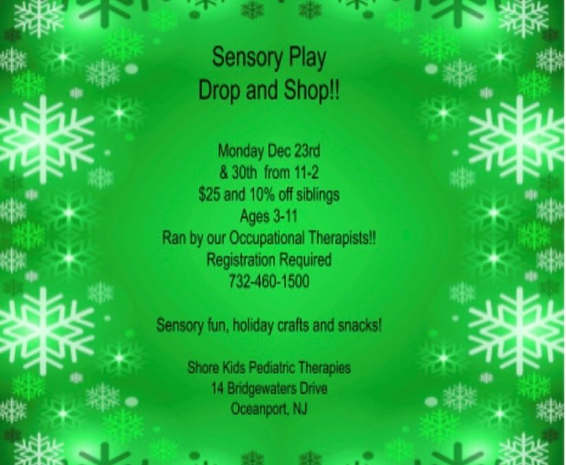 Sensory Play Drop and Shop